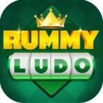 rummy ludo game apk