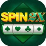 spin 2x