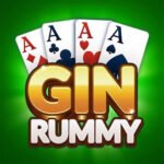bin rummy