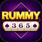 rummy 365 new apk