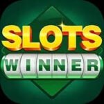 slots winner new