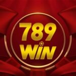 789 win apk