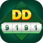 dd 91 app